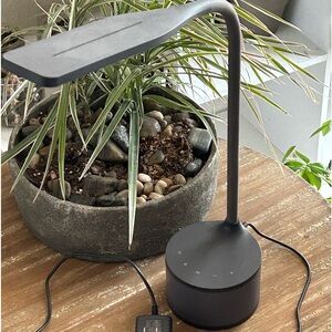 Small black adjustable desk lamp.